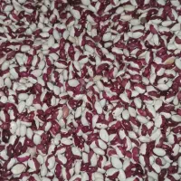 لوبیا چیتی و دورنگ