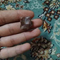 یک عدد شهاب سنگ|کلکسیون اشیاء عتیقه|قم, زند آباد|دیوار