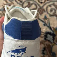 کفش خارجی|کیف، کفش، کمربند|بندر ترکمن, |دیوار