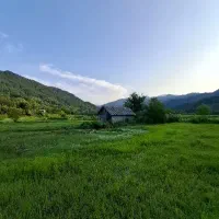 ۴ هکتار زمین، چسبیده به جنگل و رودخانه|فروش زمین و ملک کلنگی|احمدسرگوراب, |دیوار