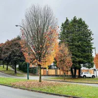 زمین اجاره‌