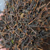 چای لاهیجان|خوردنی و آشامیدنی|لاهیجان, کوی خزر|دیوار