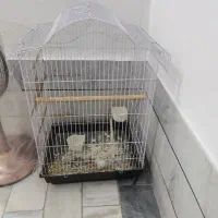 قفس پرنده