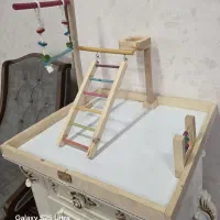 پارک بازی پرنده|لوازم جانبی حیوانات|کرج, فاز ۴ مهرشهر|دیوار