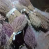 جارو محلی