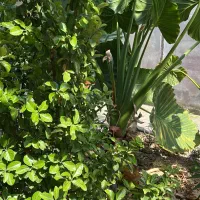 فروش-ویلای-دوطبقه-حیاط-دار-با-زمین-450-متری