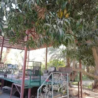 اجاره باغ شبانه روزی