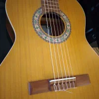 گیتار پارسی مدل P80