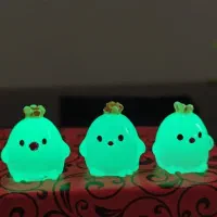 اکسسوری  شب تاب
