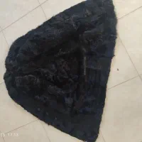 کت خزه اصل