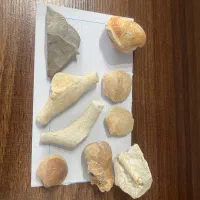 فسیل با قدمت