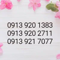 ۰۹۱۳۹۲۰۱۳۸۳