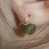 گوشواره گم شده