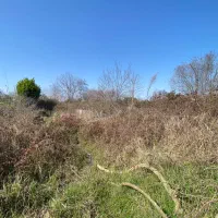 زمین ۳۳۰ متر  نوشهر