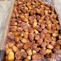 خرمازاهدی شیراز