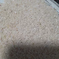 نیم دانه هاشمی