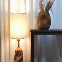 آباژور کنار سالنی