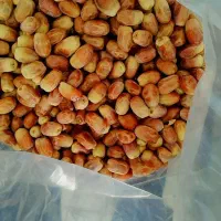 خرما درجه یک خوزستان ارسال ب تمام نقاط کشور|عمده‌فروشی|بهبهان, |دیوار