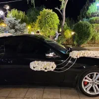 تشریفات علیپور پکیج/باغ/تالار/عمارت ازدواج غیرآسان|خدمات پذیرایی، مراسم|شیراز, تاچارا|دیوار