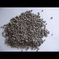 کودسیاه  ریشه ۴۶ درصد اصلی خدمات