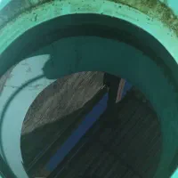 مواد مایع ظرفشویی