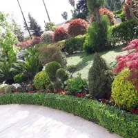 خدمات فضای سبز و باغبانی تمام نقاط تهران و کرج|خدمات باغبانی و درختکاری|تهران, یوسفآباد|دیوار