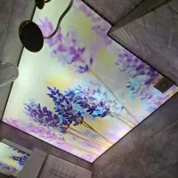 کاغذدیواری باکیفیت|مصالح و تجهیزات ساختمان|هشتگرد, هشتگرد قدیم|دیوار