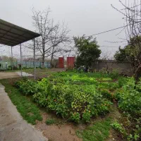 اجاره ویلا دو خوابه مبله در روستای زیبای وشمه‌سرا|اجارهٔ خانه و ویلا|ماسال, |دیوار