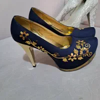 کفش مجلسی