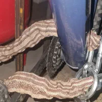 دوچرخه کیوب مدل CUBE Aim Pro|دوچرخه، اسکیت، اسکوتر|فردیس, شهرک هفده شهریور|دیوار