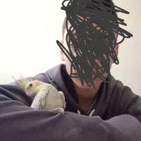 عروس هلندی|پرنده|ری, ظهیرآباد|دیوار