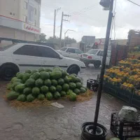 دو عدد شاگرد جهت کار در میوه فروشی