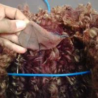 پالتو پوست اصل گرم کاپشن سالم گرمکن کشی|لباس|پاکدشت, پاکدشت (مامازند)|دیوار