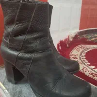 کفش چرم|کیف، کفش، کمربند|اهر, |دیوار