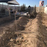 باغچه-حصار-مهتر