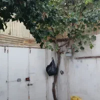 فروش خانه ویلایی ۹۰ متری ۲ خوابه در منزل آباد|فروش خانه و ویلا|مشهد, منزل آباد|دیوار