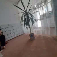 گل طبیعی یوکا|گل و گیاه طبیعی|شاهرود, |دیوار