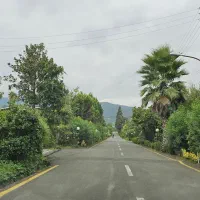 فروش زمین ۵۰۰ متری بر اول ساحل بنا تخریب امتیازات|فروش زمین و ملک کلنگی|چابکسر, |دیوار