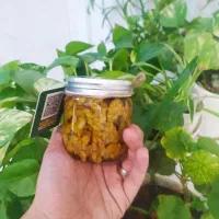 معجون عسل،گردو و پسته|خوردنی و آشامیدنی|کرج, دهقان ویلا|دیوار