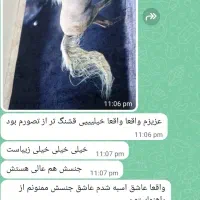 فرشینه ی اتاق کودک و نوجوان-کرومی-کیتی-بتمن