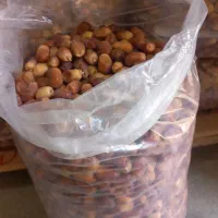 فروش خرمای قصب|خوردنی و آشامیدنی|چاه ورز, |دیوار