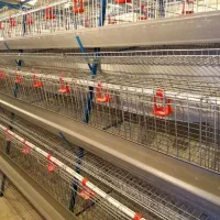 نصاب و تجهیز سالن پرورش مرغ ، بوقلمون|ماشینآلات صنعتی|بیرجند, |دیوار