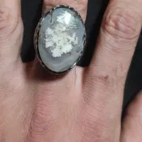 انگشتر شجر فردوس قواره دار