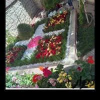 خدمات باغبانی گلکاری تعویض خاک گلدان در منزل|خدمات باغبانی و درختکاری|تهران, مرزداران|دیوار