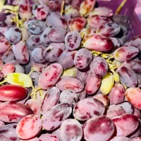 استخدام نیروجهت میوه فروشی