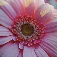 موفقیت در کنکور با کمترین هزینه