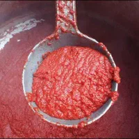 رب گوجه خانگی  عمده ۱۰۰|خوردنی و آشامیدنی|تهران, سازمان برنامه شمالی|دیوار