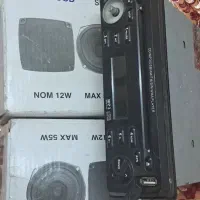 ضبط و باند