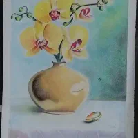 راهنمایی بفرمایید