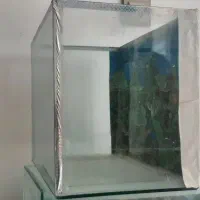 دو عدد اکواریوم سالم|ماهی|شیراز, گویم|دیوار